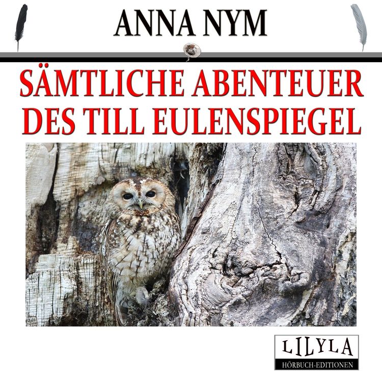 Produktbild: S&auml;mtliche Abenteuer des Till Eulenspiegel
