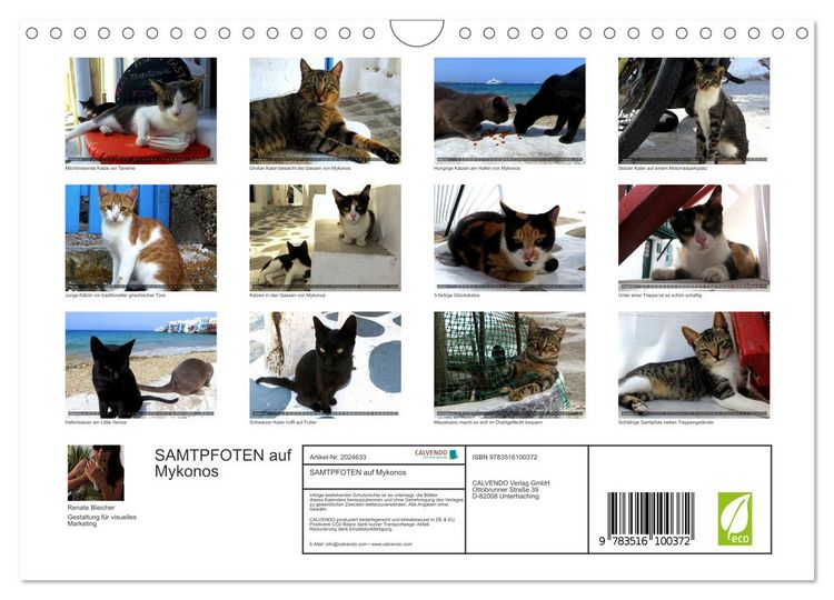 Produktbild: SAMTPFOTEN auf Mykonos (Wandkalender 2026 DIN A4 quer), CALVENDO Monatskalender