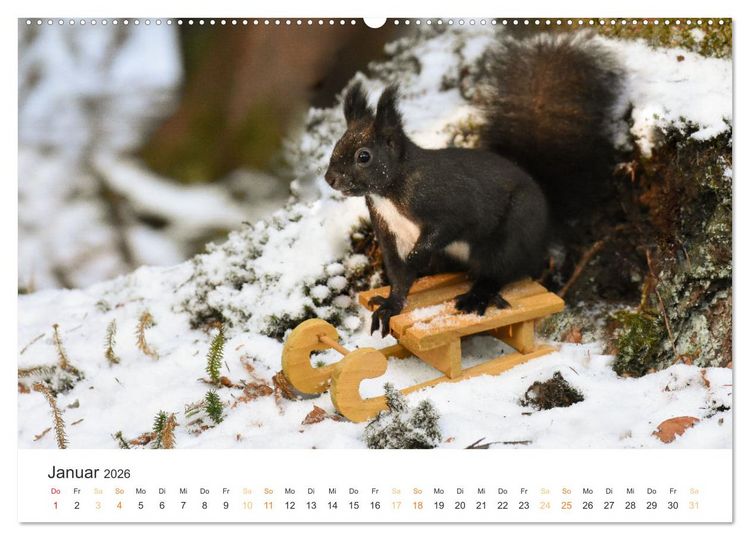 Produktbild: Geheimes Waldleben (Wandkalender 2026 DIN A2 quer), CALVENDO Monatskalender