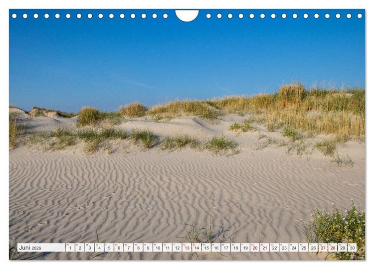 Produktbild: Urlaub in Nordfriesland (Wandkalender 2026 DIN A4 quer), CALVENDO Monatskalender