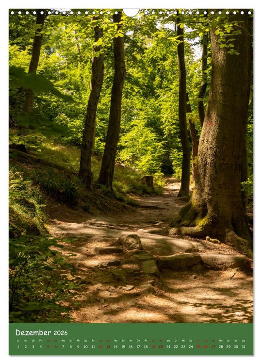 Produktbild: Ich bin dann mal im Wald (Wandkalender 2026 DIN A3 hoch), CALVENDO Monatskalender