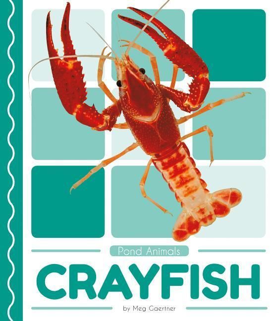 Produktbild: Crayfish