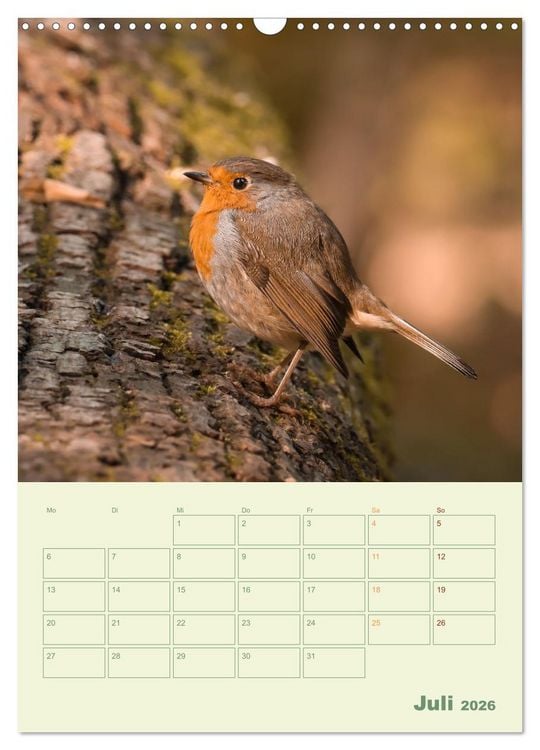 Produktbild: Waldmomente (Wandkalender 2026 DIN A3 hoch), CALVENDO Monatskalender