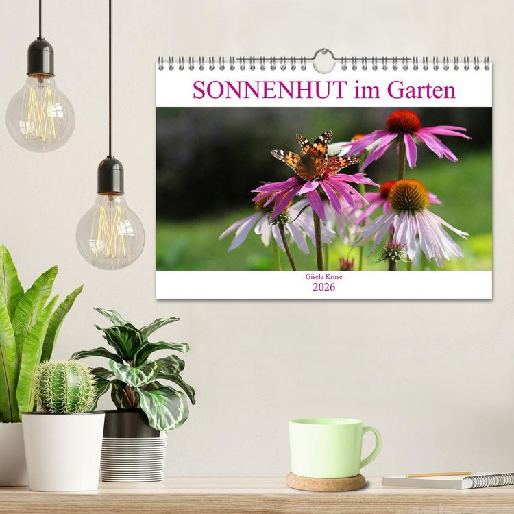 Produktbild: Sonnenhut im Garten (Wandkalender 2026 DIN A4 quer), CALVENDO Monatskalender