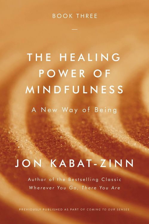 Produktbild: The Healing Power of Mindfulness