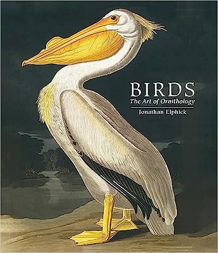 Produktbild: Birds