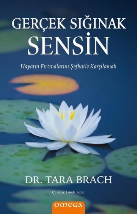 Produktbild: Hayatin Firtinalarini Sefkatle Karsilamak