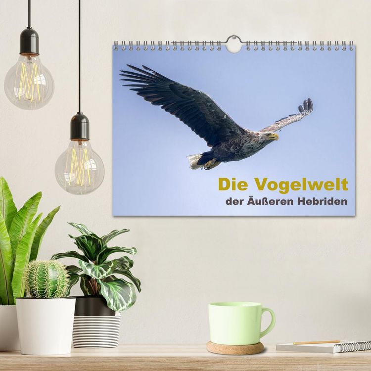 Produktbild: Die Vogelwelt der &Auml;u&szlig;eren Hebriden (Wandkalender 2026 DIN A4 quer), CALVENDO Monatskalender