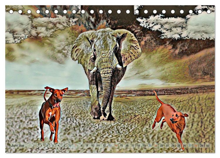 Produktbild: Rhodesian Ridgeback der Hund mit dem Tropfen L&ouml;wenblut (Tischkalender 2026 DIN A5 quer), CALVENDO Monatskalender