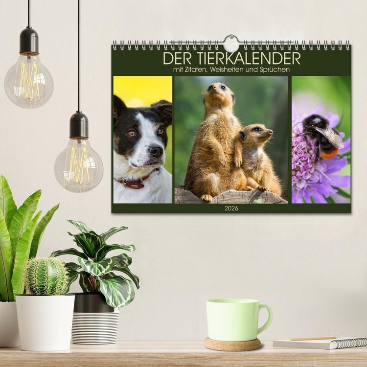 Produktbild: Der Tierkalender mit Zitaten, Weisheiten und Spr&uuml;chen (Wandkalender 2026 DIN A4 quer), CALVENDO Monatskalender