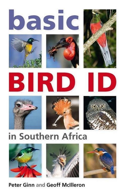Produktbild: Basic Bird ID in Southern Africa