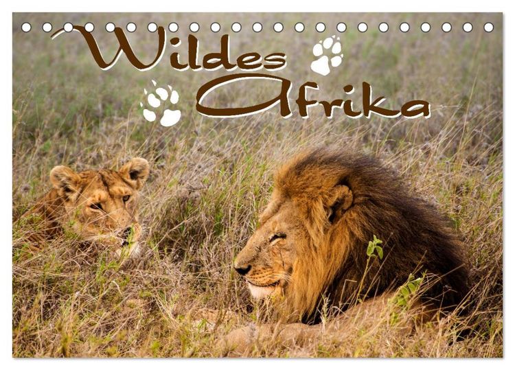 Produktbild: Wildes Afrika (Tischkalender 2026 DIN A5 quer), CALVENDO Monatskalender
