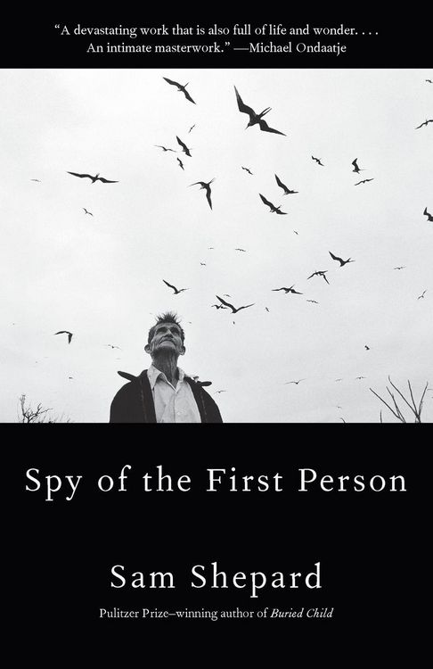 Produktbild: Spy of the First Person