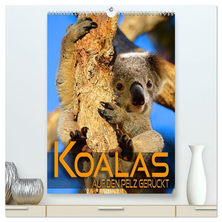 Produktbild: Koalas auf den Pelz ger&uuml;ckt (hochwertiger Premium Wandkalender 2026 DIN A2 hoch), Kunstdruck in Hochglanz
