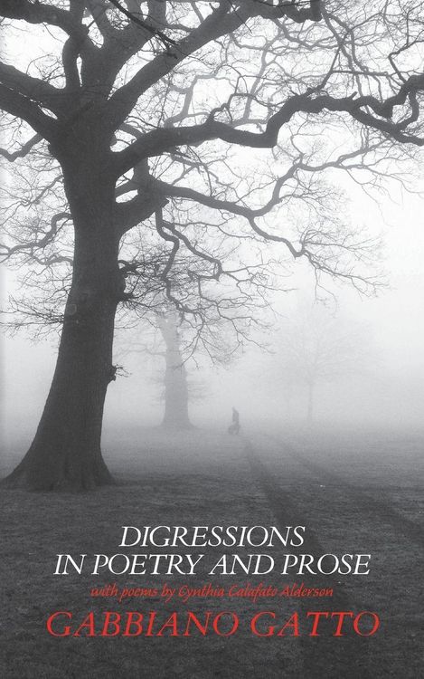 Produktbild: Digressions in Poetry and Prose