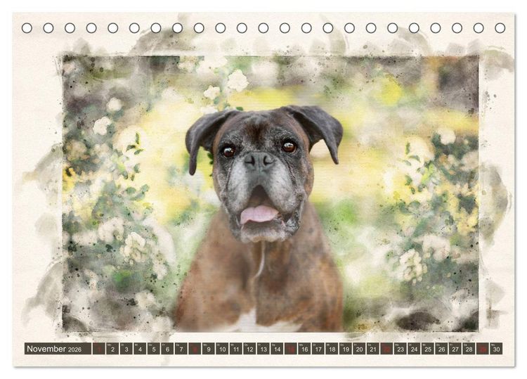 Produktbild: Boxer Photo&Kunst (Tischkalender 2026 DIN A5 quer), CALVENDO Monatskalender