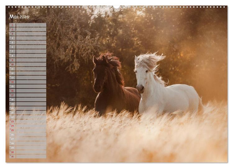 Produktbild: Pferde - Spiegel deiner Seele (hochwertiger Premium Wandkalender 2026 DIN A2 quer), Kunstdruck in Hochglanz