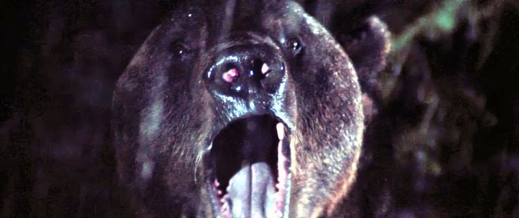 Produktbild: Day of the Animals - Panik in der Sierra Nova
