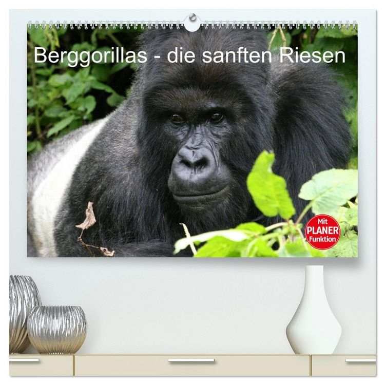 Produktbild: Berggorillas - die sanften Riesen (hochwertiger Premium Wandkalender 2026 DIN A2 quer), Kunstdruck in Hochglanz