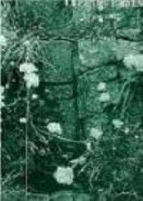 Produktbild: Clive Wilmer: Selected Poems 1965-1993