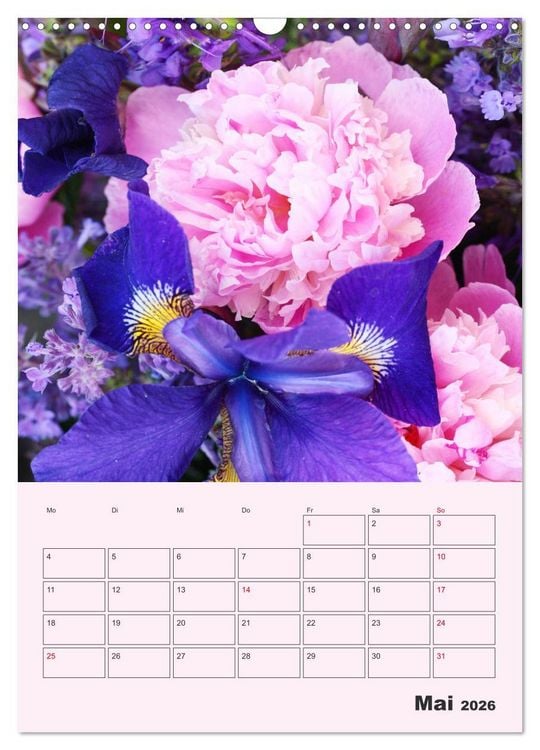 Produktbild: Pfingstrosen Rosen ohne Dornen (Wandkalender 2026 DIN A3 hoch), CALVENDO Monatskalender