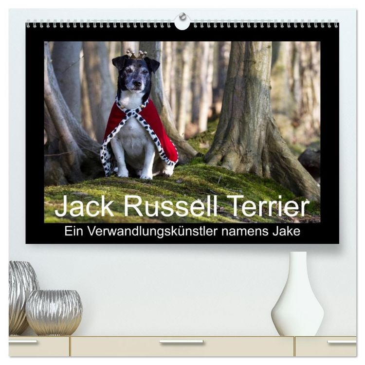 Produktbild: Jack Russell Terrier.....Ein Verwandlungsk&uuml;nstler namens Jake (hochwertiger Premium Wandkalender 2026 DIN A2 quer), Kunstdruck in Hochglanz