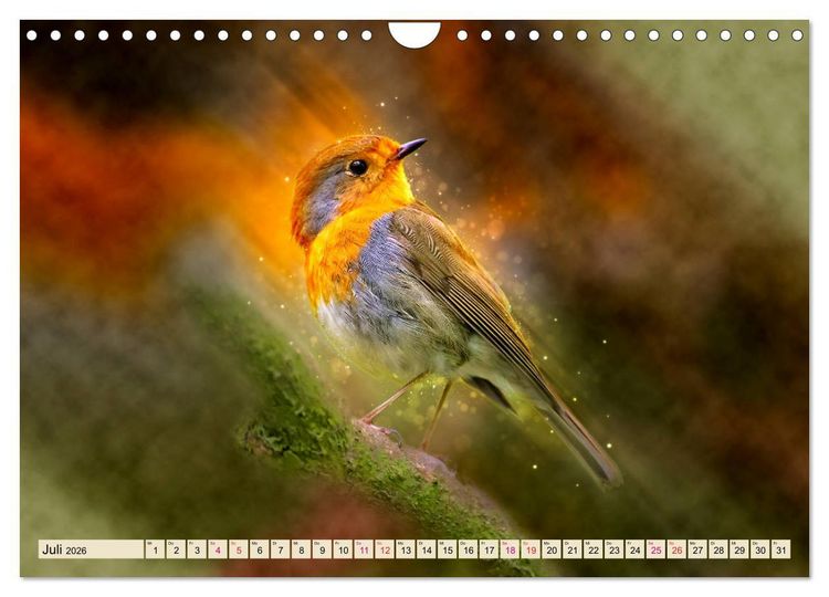Produktbild: Bei uns im Garten - Rotkehlchen (Wandkalender 2026 DIN A4 quer), CALVENDO Monatskalender