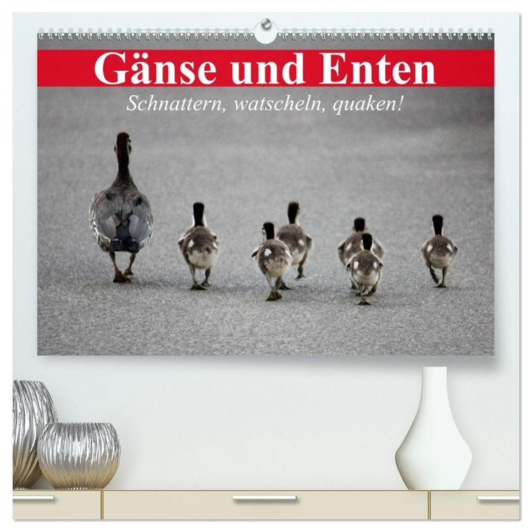 Produktbild: G&auml;nse und Enten. Schnattern, watscheln, quaken! (hochwertiger Premium Wandkalender 2026 DIN A2 quer), Kunstdruck in Hochglanz