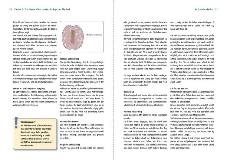 Produktbild: Dual-Aktivierung geritten