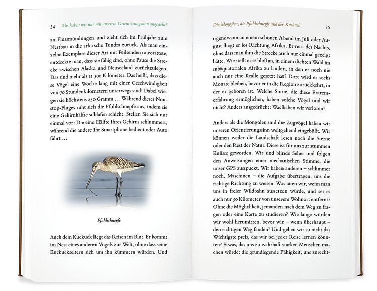 Produktbild: Kleine Philosophie der V&ouml;gel