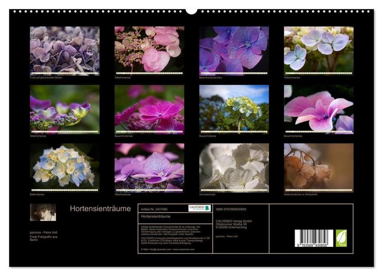 Produktbild: Hortensientr&auml;ume (hochwertiger Premium Wandkalender 2027 DIN A2 quer), Kunstdruck in Hochglanz