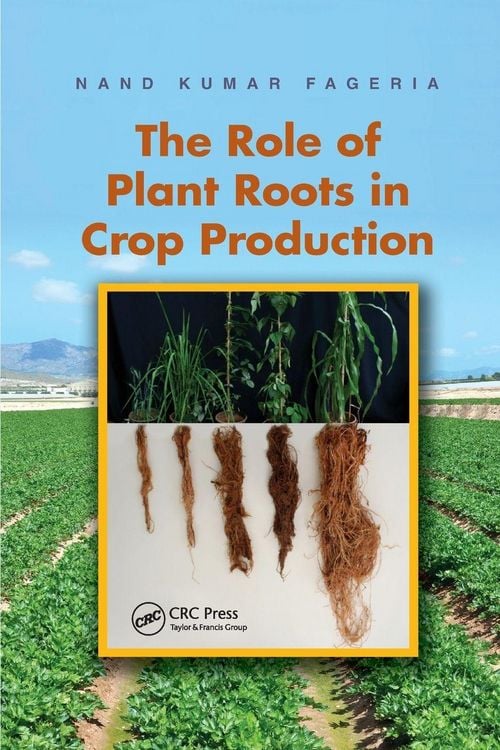 Produktbild: The Role of Plant Roots in Crop Production