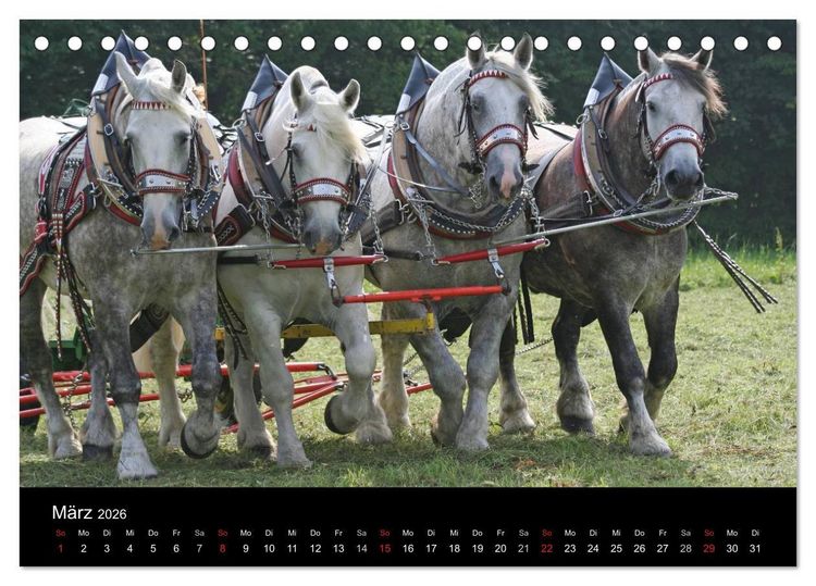 Produktbild: Starke Pferde bei der Arbeit (Tischkalender 2026 DIN A5 quer), CALVENDO Monatskalender