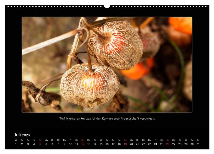 Produktbild: Freundschaft (Wandkalender 2026 DIN A2 quer), CALVENDO Monatskalender