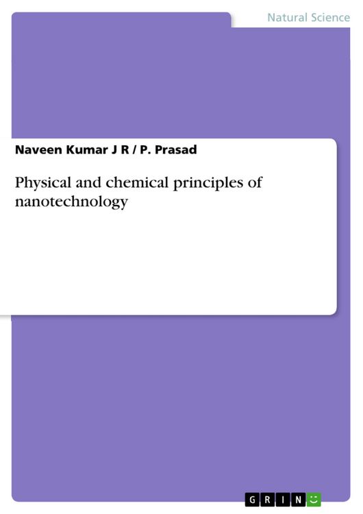 Produktbild: Physical and chemical principles of nanotechnology