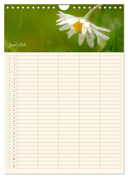 Produktbild: Mit Blick in den Garten (Wandkalender 2026 DIN A4 hoch), CALVENDO Monatskalender
