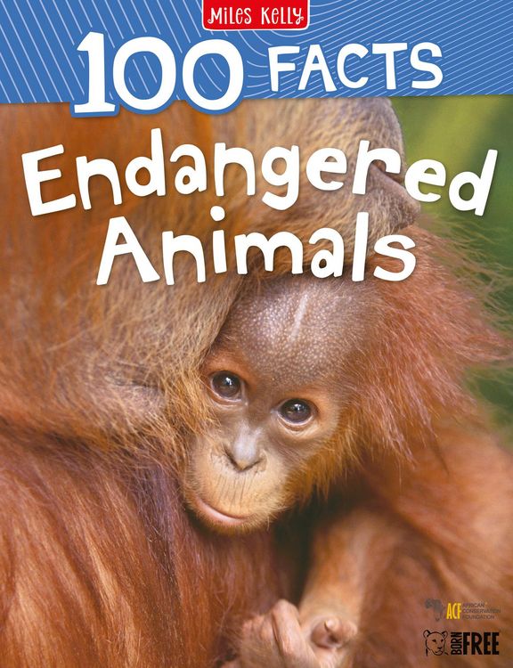 Produktbild: Miles Kelly: Endangered Animals