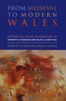Produktbild: From Medieval to Modern Wales
