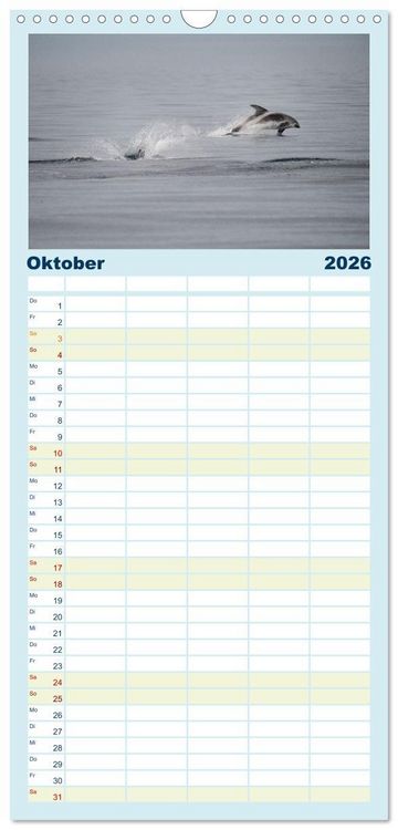 Produktbild: Familienplaner 2026 - Die Wale von Andenes mit 5 Spalten (Wandkalender, 21 x 45 cm) CALVENDO