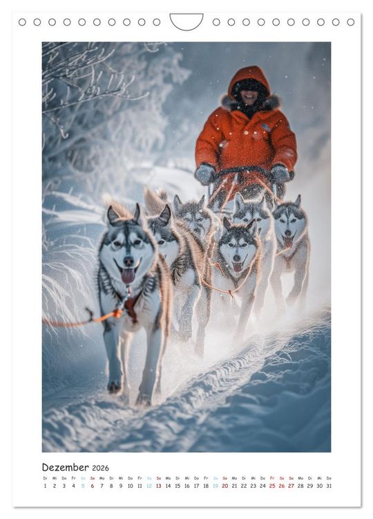 Produktbild: Schlittenhunderennen (Wandkalender 2026 DIN A4 hoch), CALVENDO Monatskalender