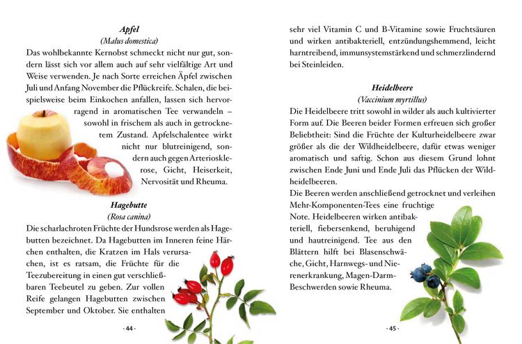Produktbild: Das kleine Buch: Teegenuss aus Fr&uuml;chten, Bl&uuml;ten und Bl&auml;ttern