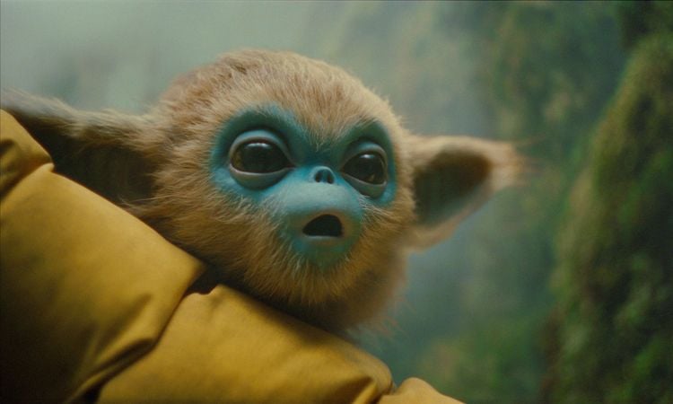 Produktbild: Die Legende von Ochi - Mediabook (4K-UHD + Blu-ray)