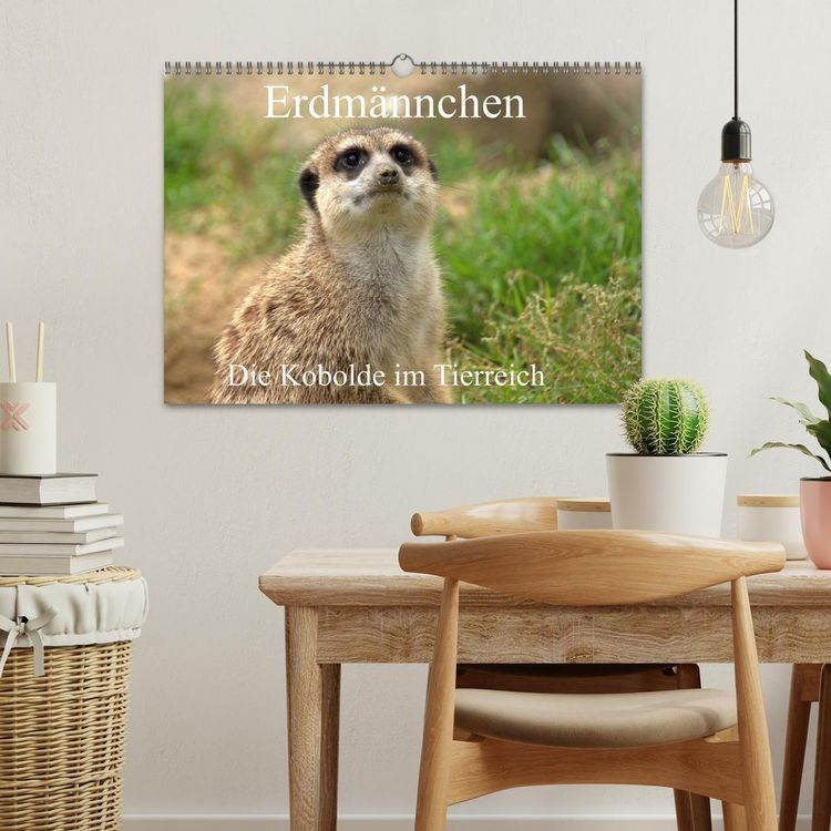 Produktbild: Erdm&auml;nnchen - Die Kobolde im Tierreich (Wandkalender 2026 DIN A3 quer), CALVENDO Monatskalender