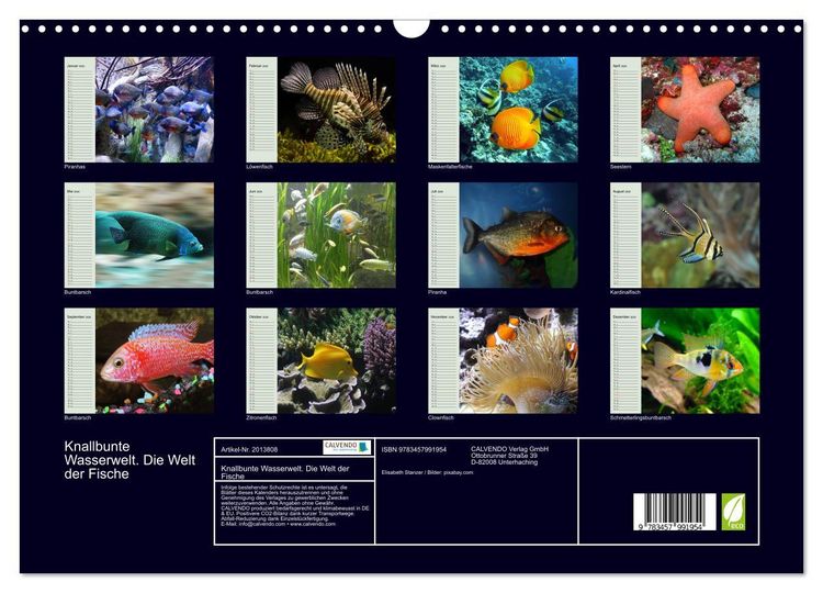 Produktbild: Knallbunte Wasserwelt. Die Welt der Fische (Wandkalender 2026 DIN A3 quer), CALVENDO Monatskalender