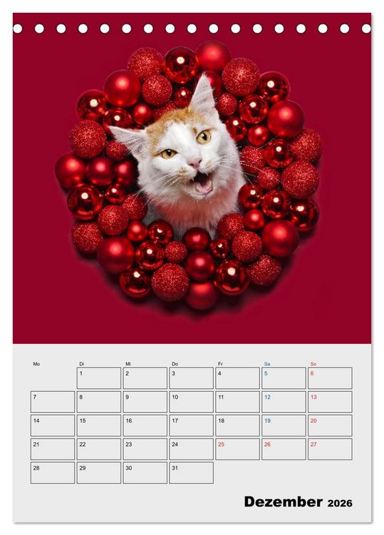 Produktbild: Crazy Catz. (Tischkalender 2026 DIN A5 hoch), CALVENDO Monatskalender