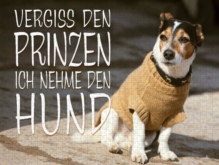 Produktbild: CALVENDO Puzzle Jack Russell Terrier mit modebewu&szlig;tem Hundeanzug | 2000 Teile Lege-Gr&ouml;&szlig;e 90x67cm Foto-Puzzle f&uuml;r gl&uuml;ckliche Stunden