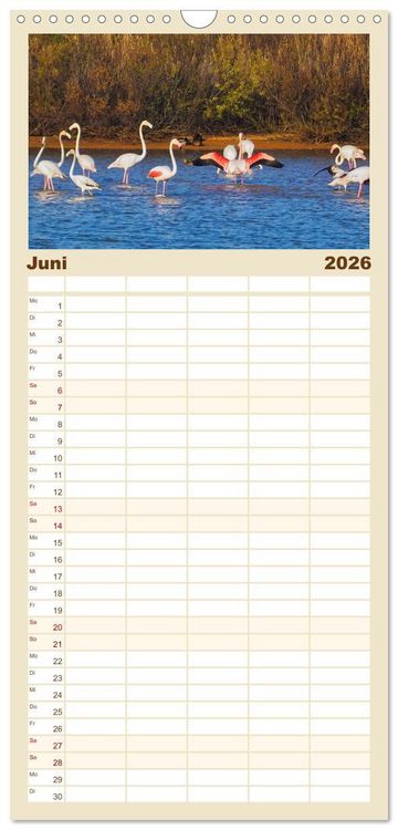 Produktbild: Familienplaner 2026 - Flamingo Zauber mit 5 Spalten (Wandkalender, 21 x 45 cm) CALVENDO