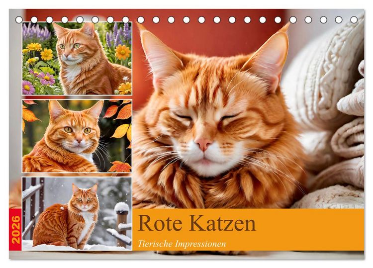 Produktbild: Rote Katzen (Tischkalender 2026 DIN A5 quer), CALVENDO Monatskalender