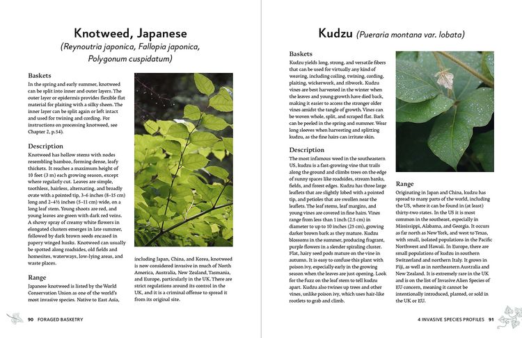 Produktbild: Foraged Basketry