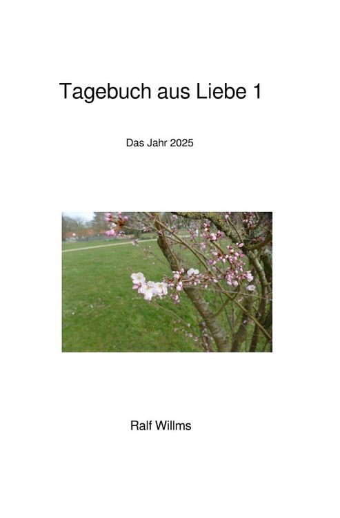 Produktbild: Tagebuch aus Liebe 1